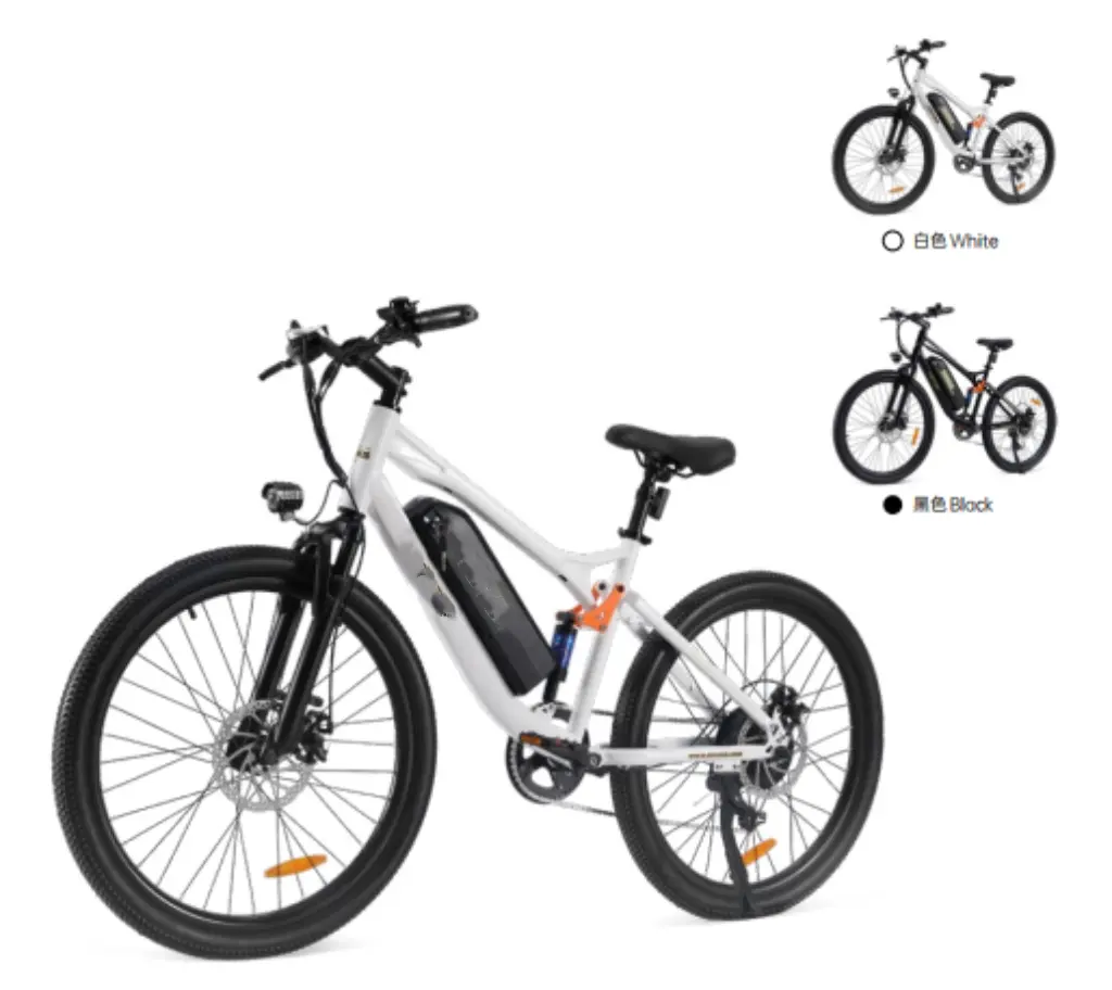 E-bike-E10
